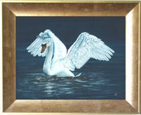 swan landing